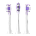 https://www.syntech.co.za/wp-content/uploads/2026/02/BHR07ZRTY_Xiaomi-Oscillation-Electric-Toothbrush-Replacement-Heads-Soft_wr_01a.jpg | https://www.syntech.co.za/wp-content/uploads/2026/02/BHR07ZRTY_Xiaomi-Oscillation-Electric-Toothbrush-Replacement-Heads-Soft_wr_02a.jpg | https://www.syntech.co.za/wp-content/uploads/2026/02/BHR07ZRTY_Xiaomi-Oscillation-Electric-Toothbrush-Replacement-Heads-Soft_wr_03a.jpg | https://www.syntech.co.za/wp-content/uploads/2026/02/BHR07ZRTY_Xiaomi-Oscillation-Electric-Toothbr