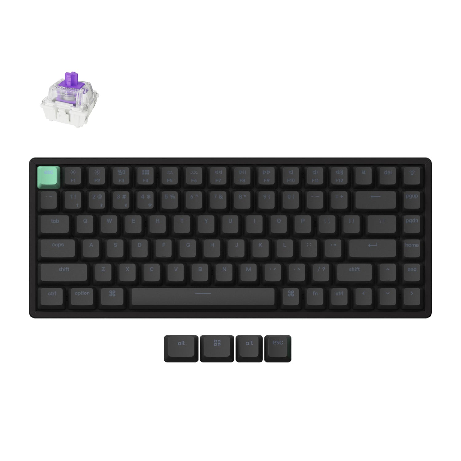 https://www.syntech.co.za/wp-content/uploads/2024/10/Keychron_K2H-J1_wr_01a.jpg | https://www.syntech.co.za/wp-content/uploads/2024/10/Keychron_K2H-J1_wr_02a.jpg | https://www.syntech.co.za/wp-content/uploads/2024/10/Keychron_K2H-J1_wr_03a.jpg | https://www.syntech.co.za/wp-content/uploads/2024/10/Keychron_K2H-J1_wr_04a.jpg | https://www.syntech.co.za/wp-content/uploads/2024/10/Keychron_K2H-J1_wr_05a.jpg
